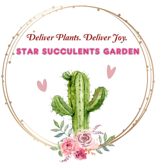 Star Succulents Garden