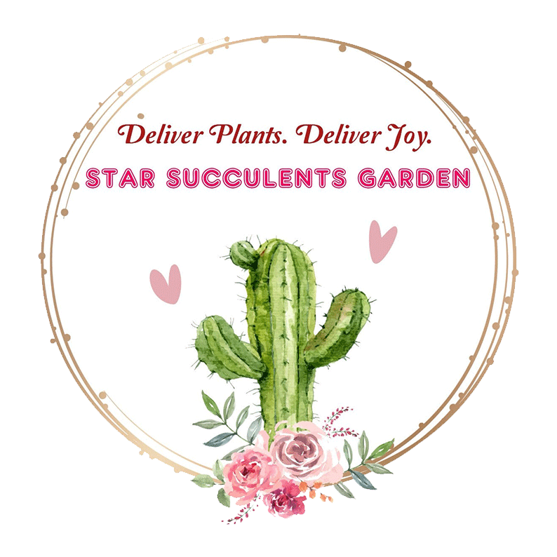 Star Succulents Garden